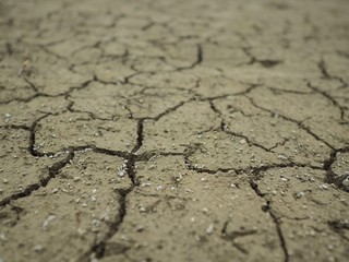 dry cracked earth