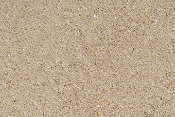 Sandy beach background. Detailed sand texture. Top view