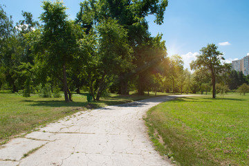 Sunset over the road. Sunrise in summer beautiful park. Bright sunny day in park. The sun rays illuminate green grass and trees. Long road along the park.