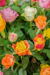 Bright multicolored bouquet of roses. Natural flowers background, soft focus. Colorful roses flower background, group of multicolor rose make from clay, handmade product. vertical photo