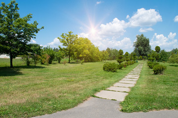 Sunset over the road. Sunrise in summer beautiful park. Bright sunny day in park. The sun rays illuminate green grass and trees. Long road along the park.