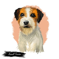 Russell Terrier dog portrait isolated on white. Digital art illustration for web, t-shirt print and puppy food cover design. F.C.I. Jack Russell Terrier with an instinct to hunt prey underground
