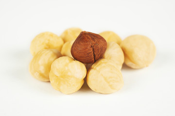hazelnuts isolated on white background close-up macro, design, mockup