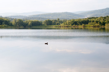 Obraz na płótnie Canvas summer lake with ducks and distant mountains in the background