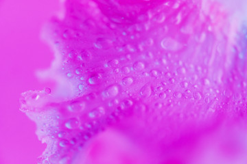 Banner of Isolated sunglasses with colorful reflections copy space