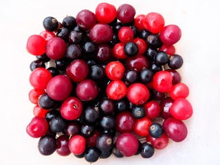 bright red and black berries on a white background