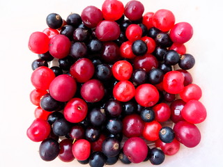 bright red and black berries on a white background