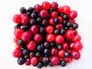 bright red and black berries on a white background