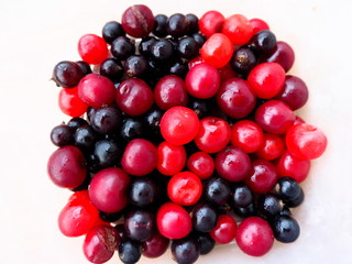 bright red and black berries on a white background