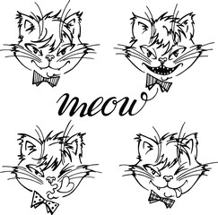 Vector set with hand drawn cats faces with different emotions , LIne art. Meow