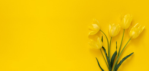 Beautiful flowers composition. Yellow tulips on yellow background. Valentine's Day, Easter, Birthday, Happy Women's Day, Mother's day. Flat lay, top view, copy space, banner