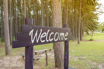 welcome board made of wooden in front of pine forest, vintage style