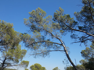 Paesaggio