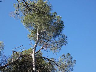 Paesaggio