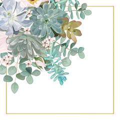 Beautiful background with leaves eucalyptus and  succulent flowers, space for text, isolated on white. Vector Watercolour.