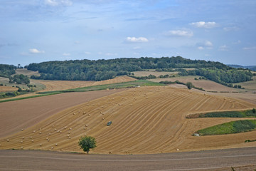 Fototapeta na wymiar normandy harvest