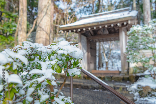 京都大原三千院西方門の雪景色wall Mural Wallpaper Murals Mtaira 京都大原三千院西方門の雪景色wall Mural Wallpaper Murals Mtaira