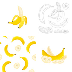 Banana. Composition, seamless pattern, detailed illustration from different angles. Vector banner with whole and sliced banana in a linear style. Outline and cartoon drawing style.