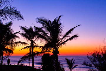Fototapeta na wymiar sunrise over ocean with palm tree silhouette