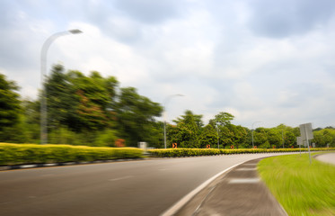 curve country road through the forest green area