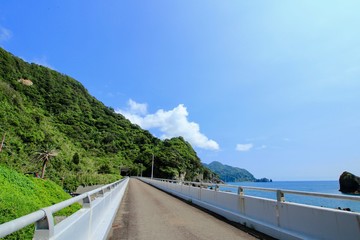 南伊豆　落居海岸