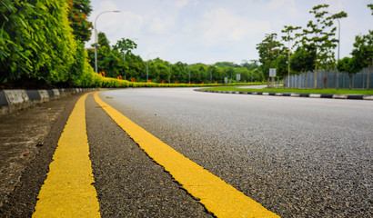 country road with yellow line through the forest green area closeup