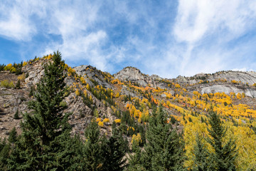 Colorful mountain in Autumn