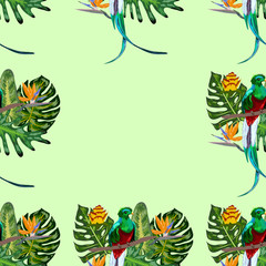 Seamless pattern of endangered species of birds Magnificent resplendent quetzal sitting on a branch against the backdrop of a tropical foliage and flowers, design