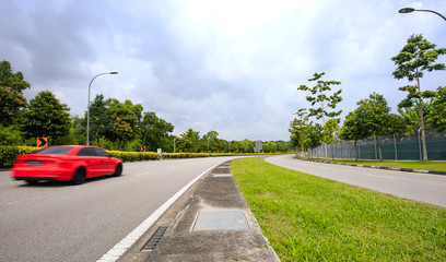 curve country road through the forest green area