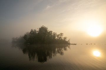 mystical light with mist and morning sun at a swedish lake