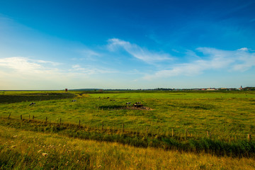 Hinter den Dünen der Nordsee in Husum