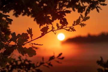 Fototapeta premium Orange sunrise