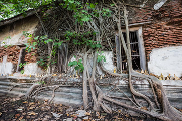 Dilapidated church in Wat Rat Bamrung (Wat Ngon Kai) - Samut Sakhon, Thailand