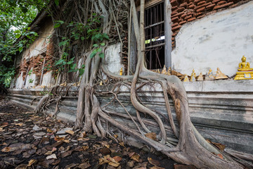 Dilapidated church in Wat Rat Bamrung (Wat Ngon Kai) - Samut Sakhon, Thailand