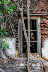 Dilapidated church in Wat Rat Bamrung (Wat Ngon Kai) - Samut Sakhon, Thailand