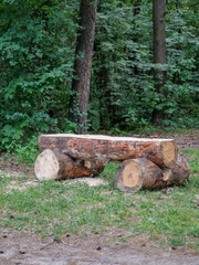 log bench in the forest