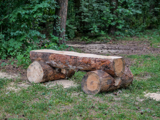 log bench in the forest