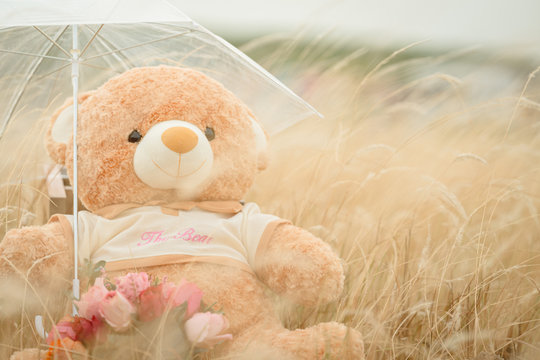Teddy bear is on a beautiful flowers