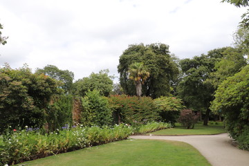 Green garden against an overcast sky 