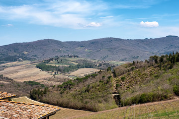 Hills and fields. Tuscany, Italy