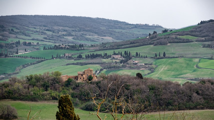 Hills and fields. Tuscany, Italy