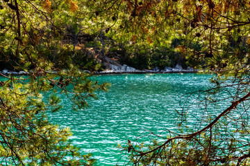 The lake of mljet framed with a tree