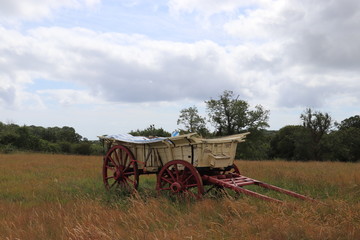 Fototapeta na wymiar old horse cart with red wheels 