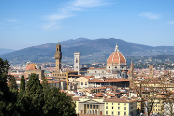 Fototapeta na wymiar Panorama of Florence. Italy