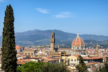 Panorama of Florence. Italy
