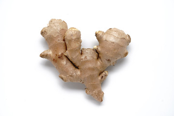 Fresh Ginger rootslices   for medical concept  ,