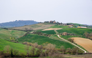 Fototapeta na wymiar Hills and fields. Tuscany, Italy