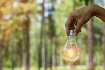 Light bulbs that grow, in the concept of energy in nature.