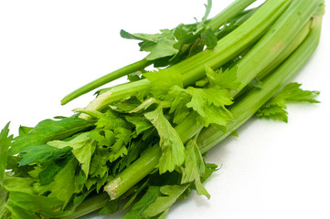 Fresh celery stalk with leaves on a white