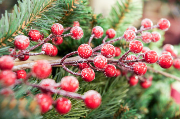 Berries on the branch.